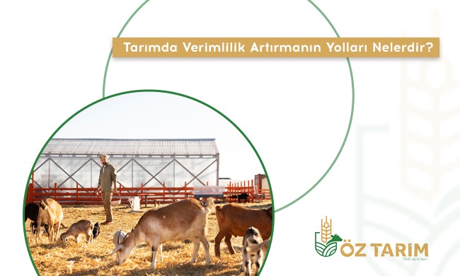 Tarımda Verimlilik Artırmanın Yolları Nelerdir?