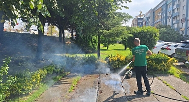 Vektörle mücadeleye güçlü destek