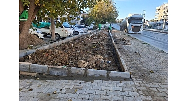 Daha Yeşil Bir Milas İçin Ekipler İlçemizin Dört Bir Yanında Yoğun Çalışmalar Yapıyor