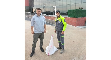 Buzlanmaya karşı tuz desteği